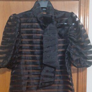 Womens Sheer Tie Neck blouse